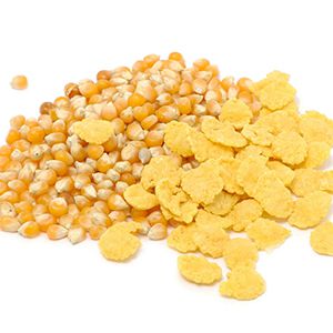 Corn Flakes & Breakfast Cereal Production Line