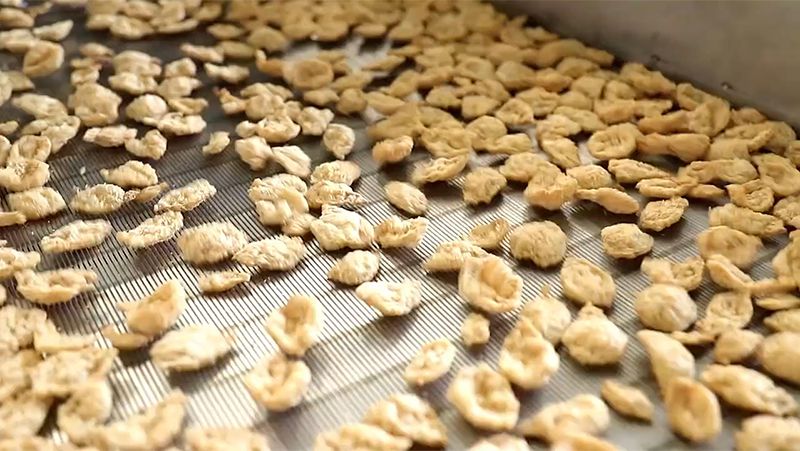 Textured Soy Protein & Soya Nugget Production Line